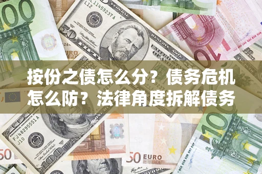 武汉按份之债怎么分？债务危机怎么防？法律角度拆解债务分配与风险自保指南