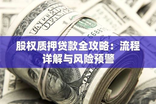 武汉股权质押贷款全攻略：流程详解与风险预警
