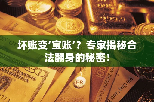 武汉坏账变‘宝账’？专家揭秘合法翻身的秘密！