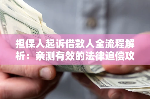 武汉担保人起诉借款人全流程解析：亲测有效的法律追偿攻略