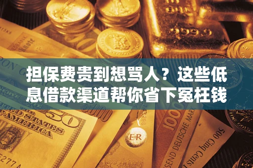 武汉担保费贵到想骂人？这些低息借款渠道帮你省下冤枉钱