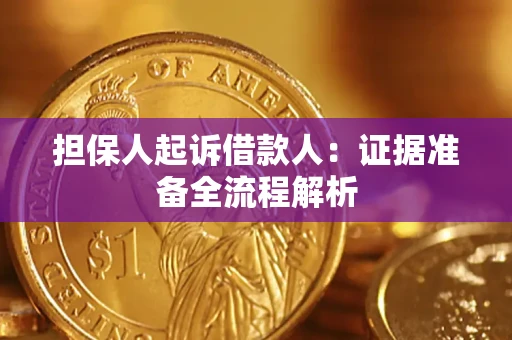 武汉担保人起诉借款人：证据准备全流程解析