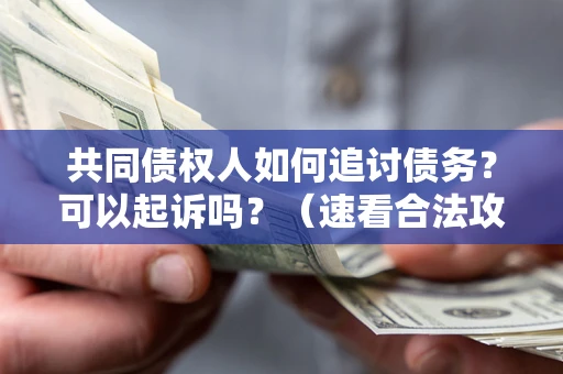 武汉共同债权人如何追讨债务？可以起诉吗？（速看合法攻略）