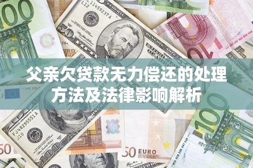 武汉父亲欠贷款无力偿还的处理方法及法律影响解析