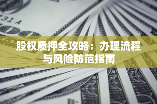 武汉股权质押全攻略：办理流程与风险防范指南