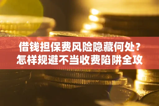 武汉借钱担保费风险隐藏何处？怎样规避不当收费陷阱全攻略！