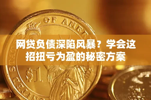 武汉网贷负债深陷风暴？学会这招扭亏为盈的秘密方案