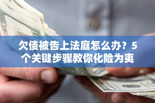 武汉欠债被告上法庭怎么办？5个关键步骤教你化险为夷